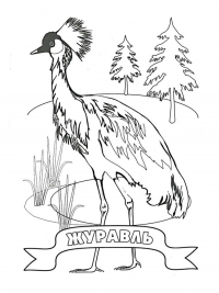 Раскраска 