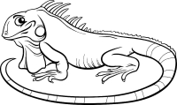 Раскраска 