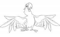 Раскраска 