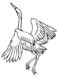 Раскраска 