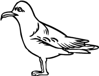 Раскраска 