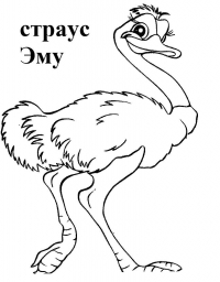 Раскраска 