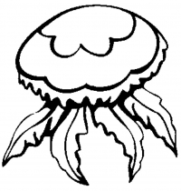 Раскраска 