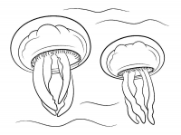 Раскраска 