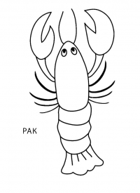 Раскраска 