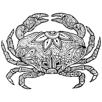 Раскраска 