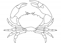Раскраска 