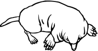 Раскраска 