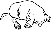 Раскраска 