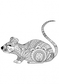 Раскраска 