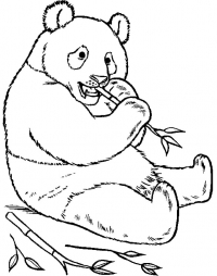 Раскраска 