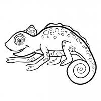Раскраска 
