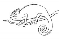 Раскраска 