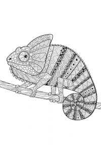 Раскраска 