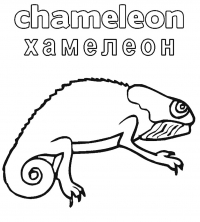 Раскраска 
