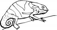 Раскраска 