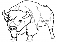 Раскраска 