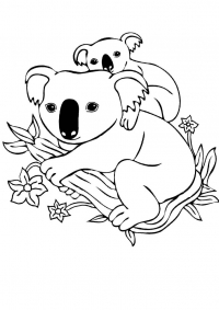 Раскраска 