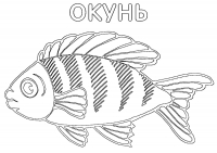 Раскраска 
