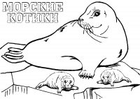 Раскраска 
