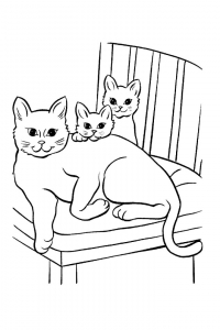 Раскраска 