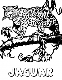 Раскраска 