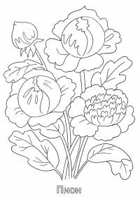 Раскраска 