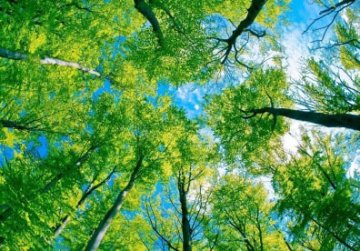 Стихи Стихи про природу